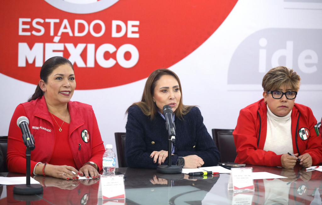 La reforma electoral es regresiva y dictatorial: Cristina Ruiz