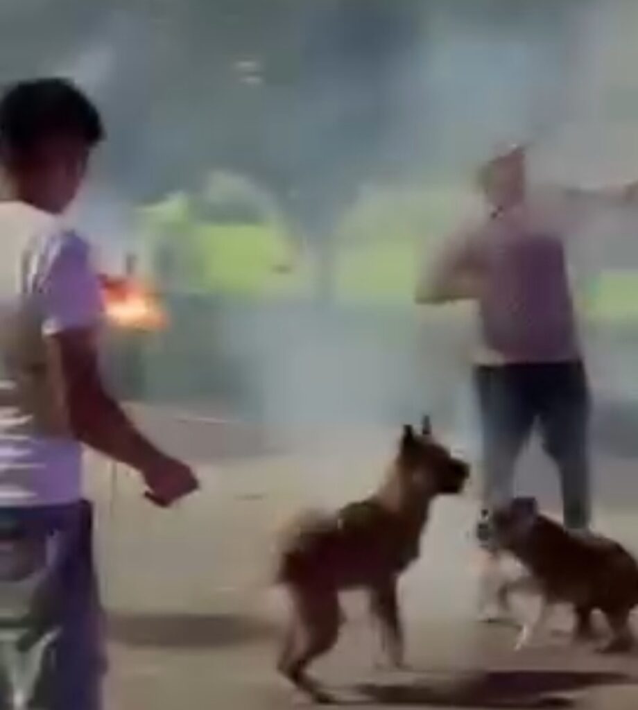 Cuete desviado por perrito provoca incendio en templo de Chalco; no hubo lesionados