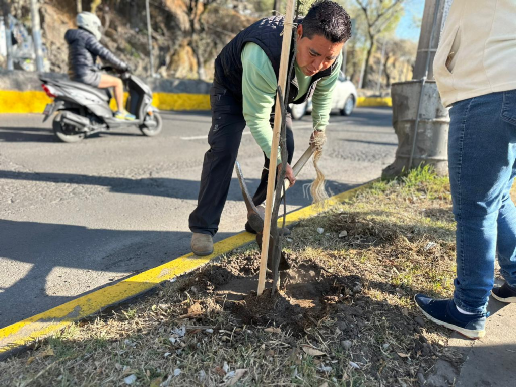 Participan servidores públicos en el mantenimiento del arbolado de Paseo Matlazincas