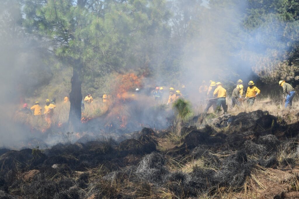 Edoméx: Incendios forestales afectan el 0.54 por ciento de superficie forestal total