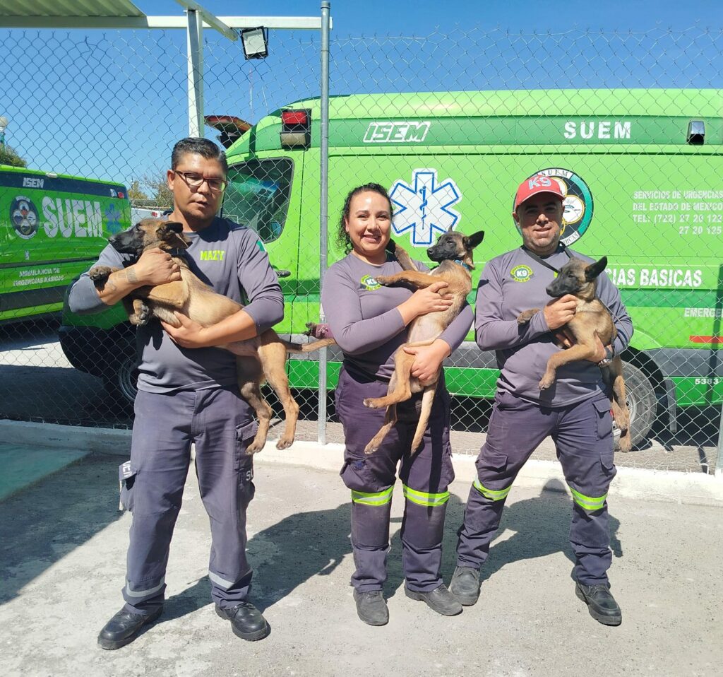 Llaman a proponer nombres para lomitos héroes del Escuadrón Canino de Rescate SUEM