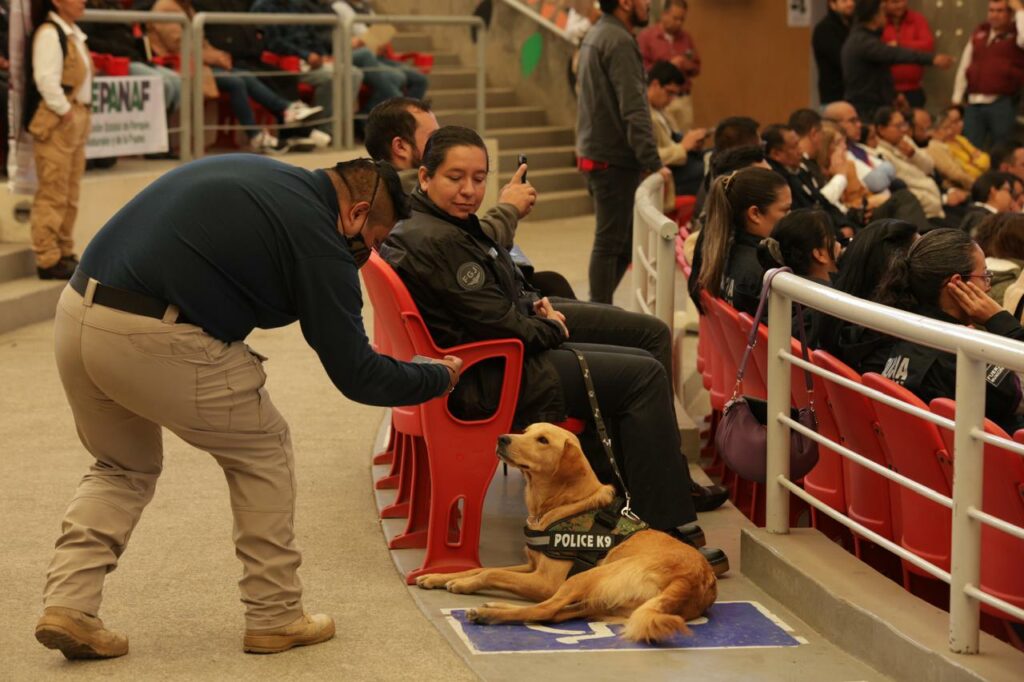 Impulsa Gobierno de Tecámac la protección y cuidado de los animales:
Rocío Miguel Hernández