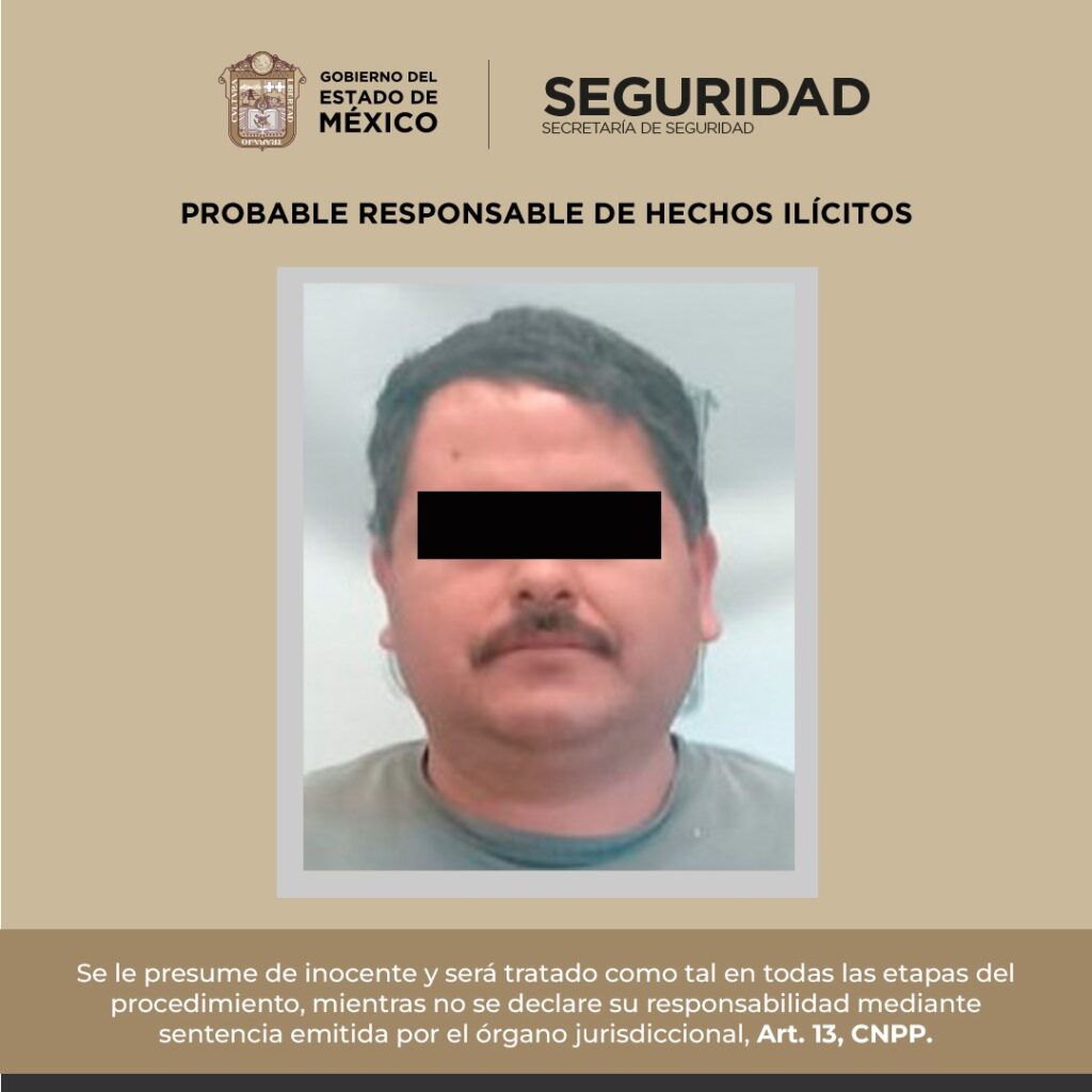 Cae talador ilegal en el sur;  recuperan 110 rollos de madera