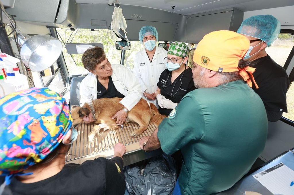 UAEMéx apuesta por anestesia inhalada para elevar estándares en atención animal