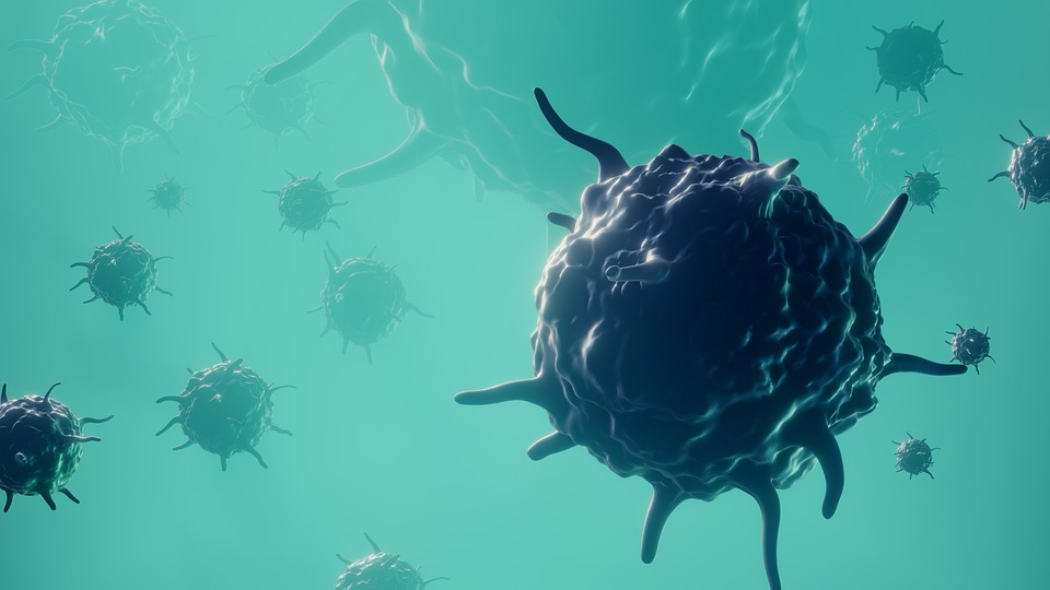 Alertan científicos sobre virus marino que podría causar ceguera