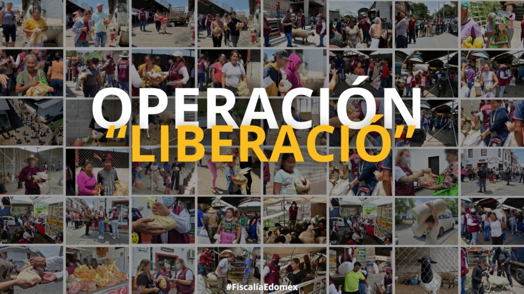 Termina en el sur del Edoméx entrega de bienes asegurados durante la Operación «Liberación»