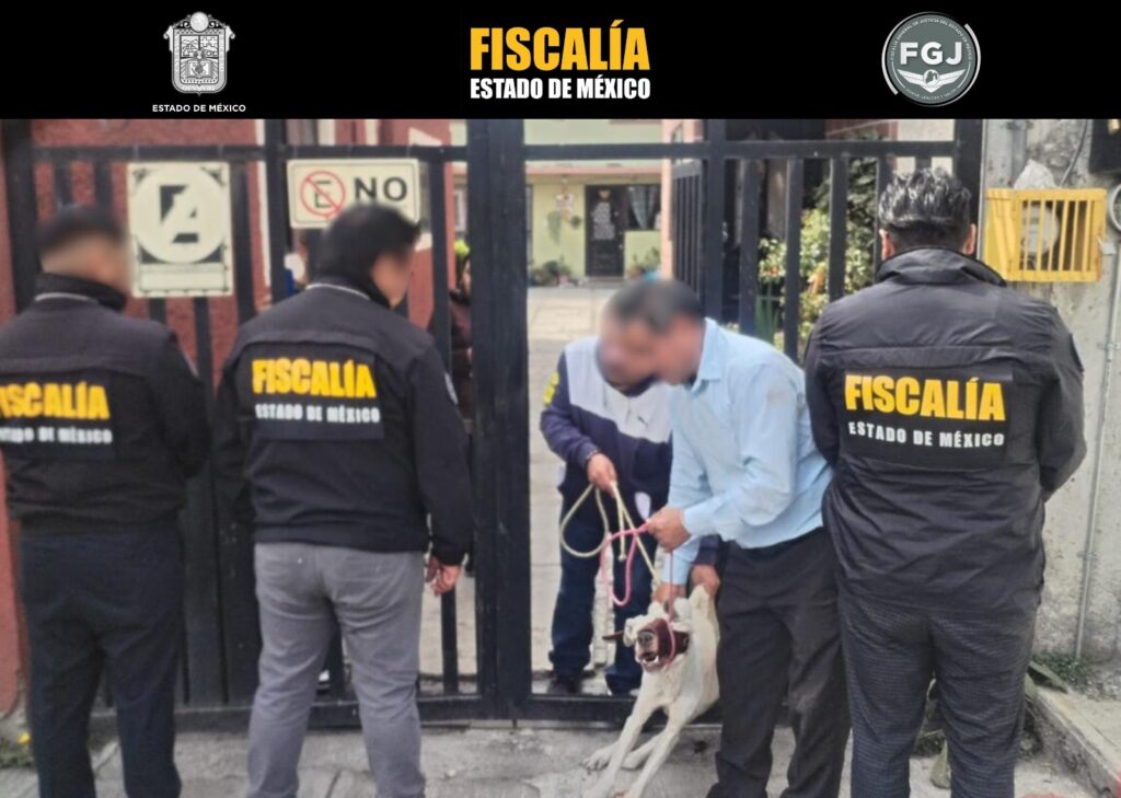 Rescatan en Lerma a canino por presunto maltrato animal