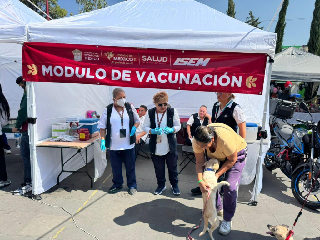 Lomitos y michis recibien dosis de vacuna contra la rabia en el Edomex