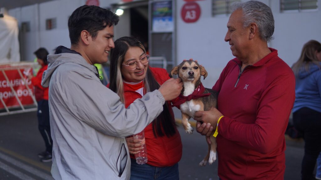 Lomitos al cuidado de la Cepanaf consiguen hogar durante partido de fútbol en el Nemesio Díez
