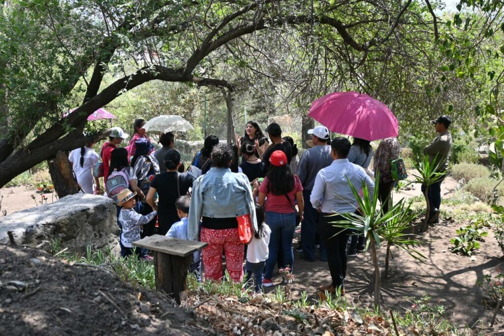 Niños toluqueños acuden a conocer huerto urbano en El Calvario
