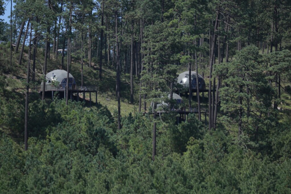 Bosques, cascadas y mariposas: descubre Amanalco