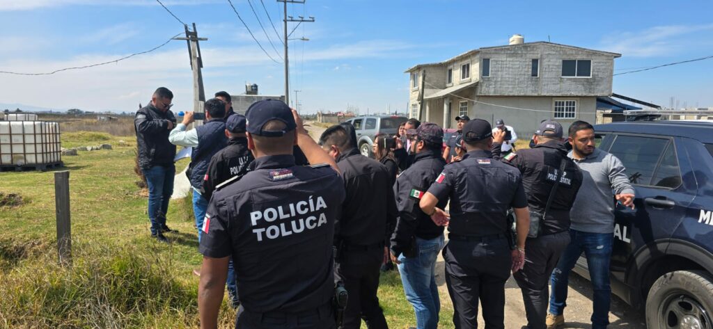 Rescatan a seis caninos por presunto maltrato animal en San Pablo Autopan