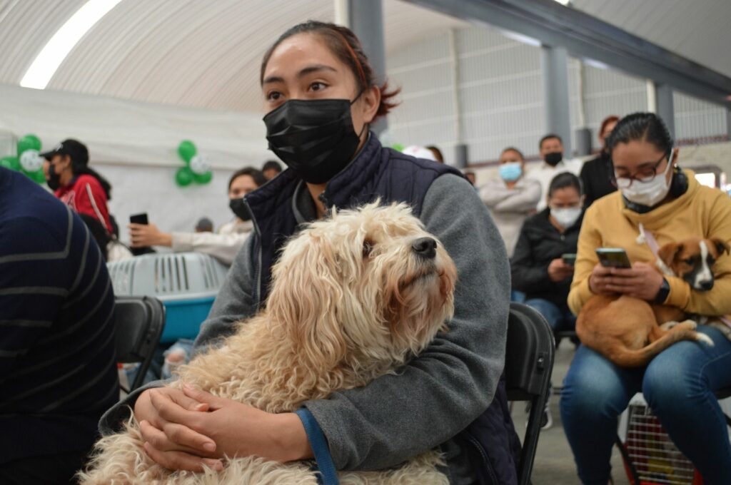 Arranca en Edoméx Semana Nacional de Vacunación Antirrábica 2026; aplicarán 2.8 millones de dosis a perros y gatos