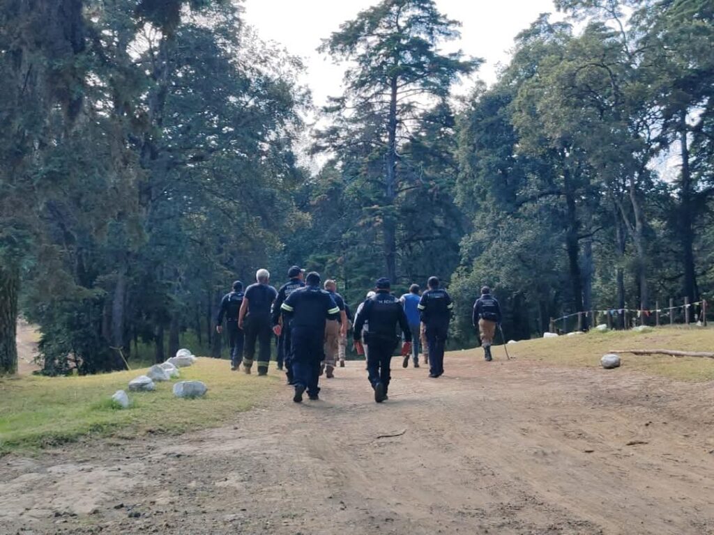 Profepa se suma a la busqueda de la presunta pantera negra en bosque de Amecameca