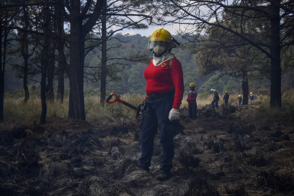 Comités de Manejo del Fuego: nueva defensa de los bosques mexiquenses