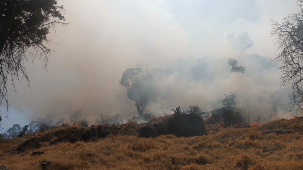 Bomberos de Toluca controlan incendio en cerro de Miltepec