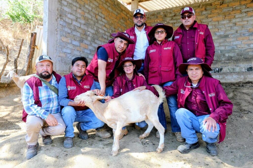 Edoméx combate enfermedad en el primer caso de Gusano Barrenador del Ganado registrado en la entidad