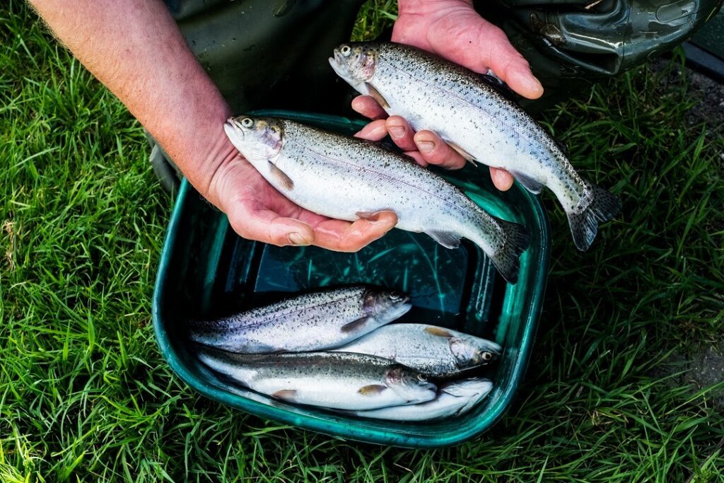 Produce Edoméx 4 mil 500 toneladas de pescado para la temporada de Cuaresma 2025