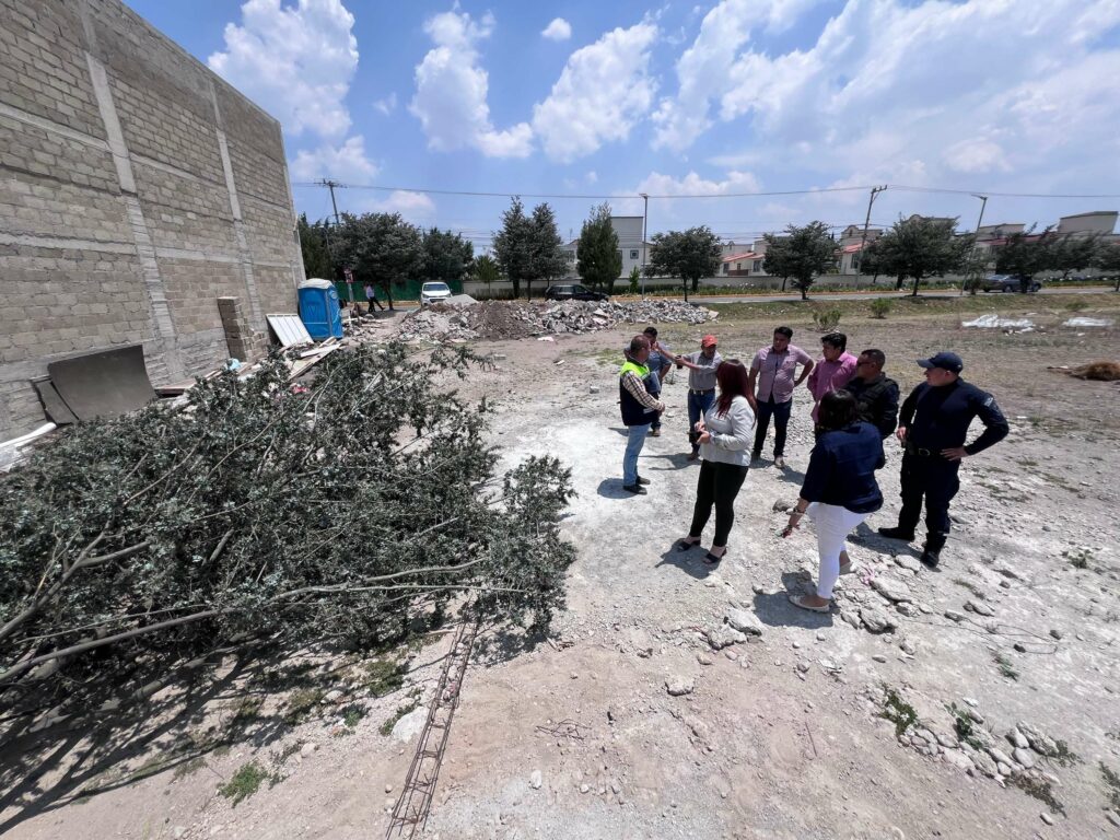 Inicia gobierno de Metepec procedimiento administrativo por presunto retiro de árboles