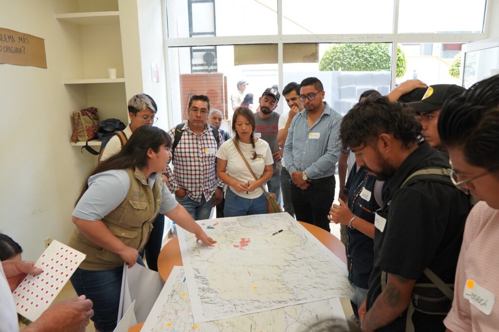 En marcha estrategia de restauración tras incendios forestales en Valle de Bravo