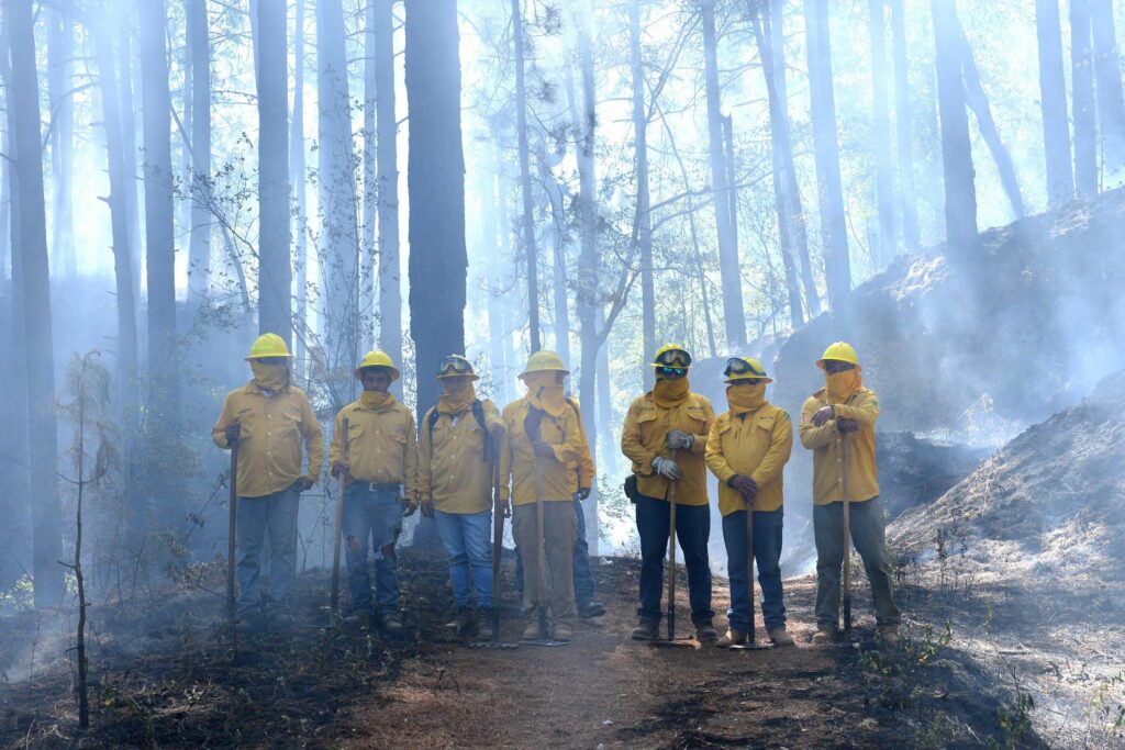 Edoméx listo para atender incendios forestales