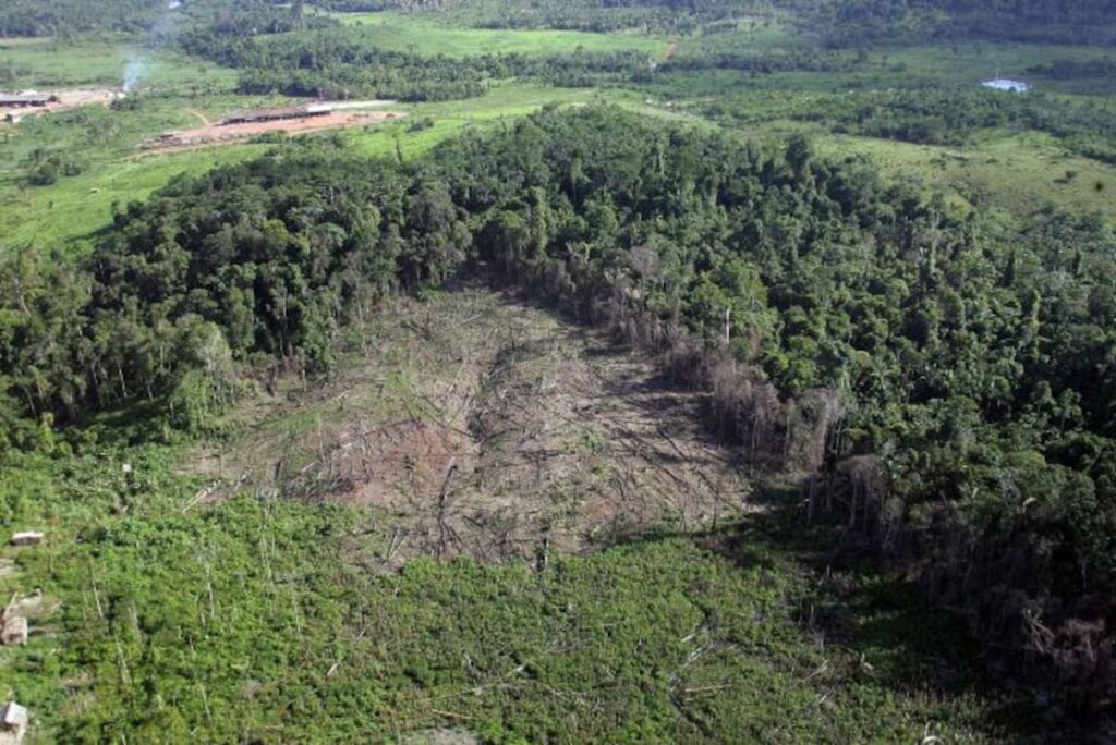 Registra México 18 asesinatos de defensoras de la tierra y el medioambiente en 2023: ONG