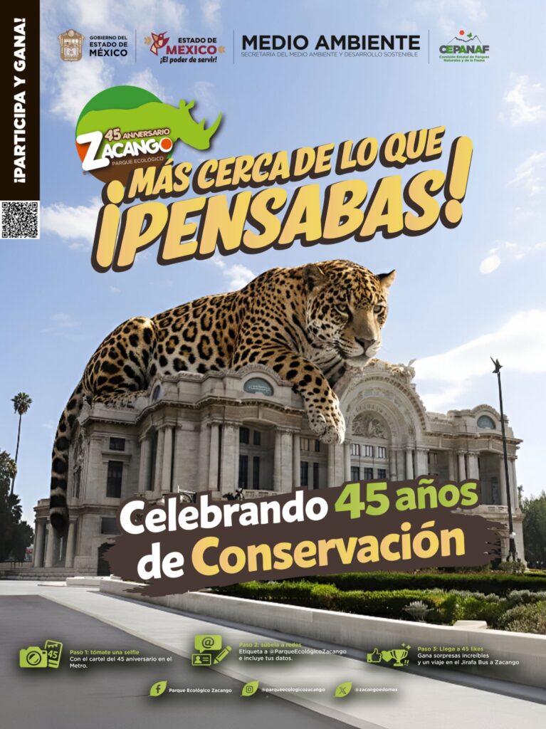 Safari urbano: animales de Zacango en los pasillos del Metro en CDMX
