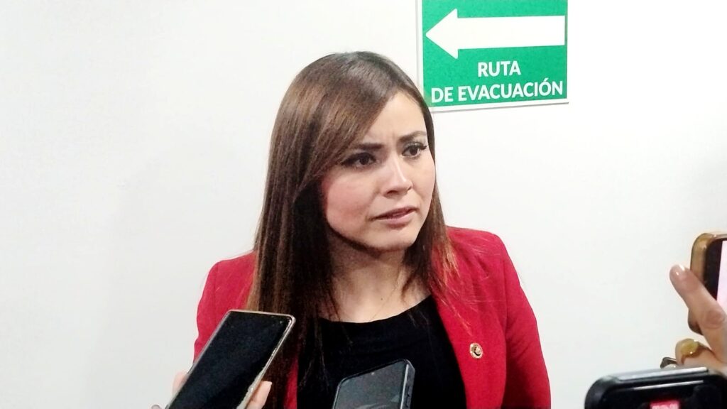 Mantiene la FGJEM más de cien mil carpetas de investigación sin concluir, solo en el último año:  diputada Anaí Esparza