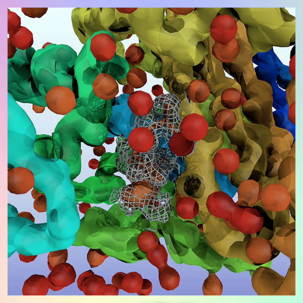 El bioarte, creaciones que desafían al arte convencional, a la ciencia y al pensamiento