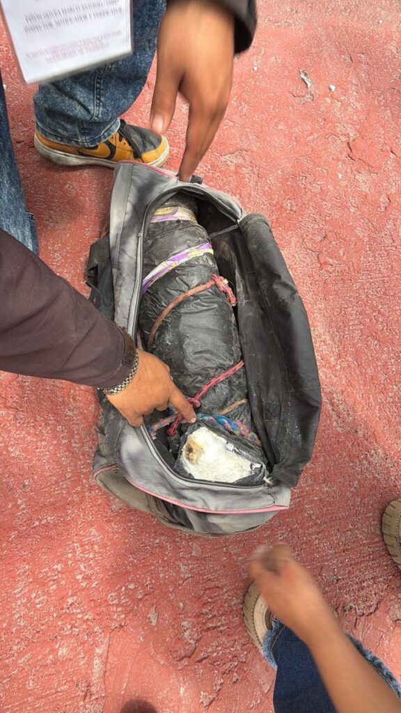 Rescatan perros y gatos en condiciones de hacinamiento; hallan cadáveres de animales en clínica de Ecatepec