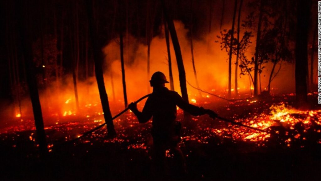 Ciencia en restauración de ecosistemas afectados por incendios: GPPRD