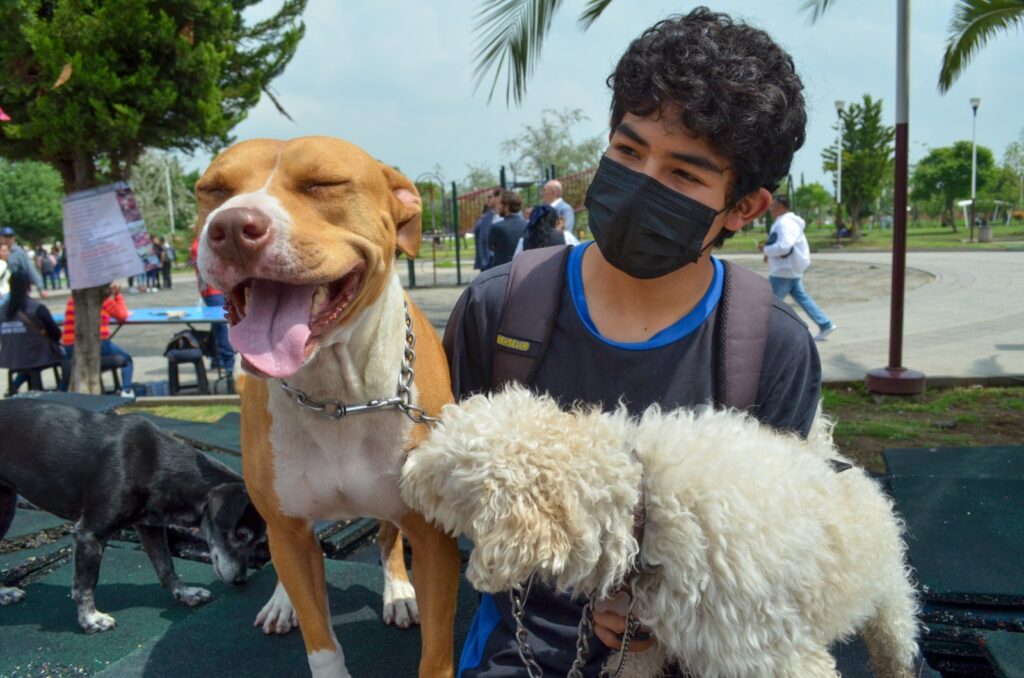 Vigilancia epidemiológica protege a mexiquenses de rickettsiosis