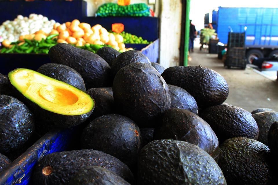 EU levantará el veto al aguacate michoacano y mango