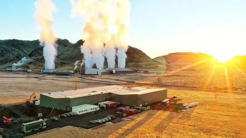 “Innovación en Islandia: granja futurista rescata superalimento milenario”