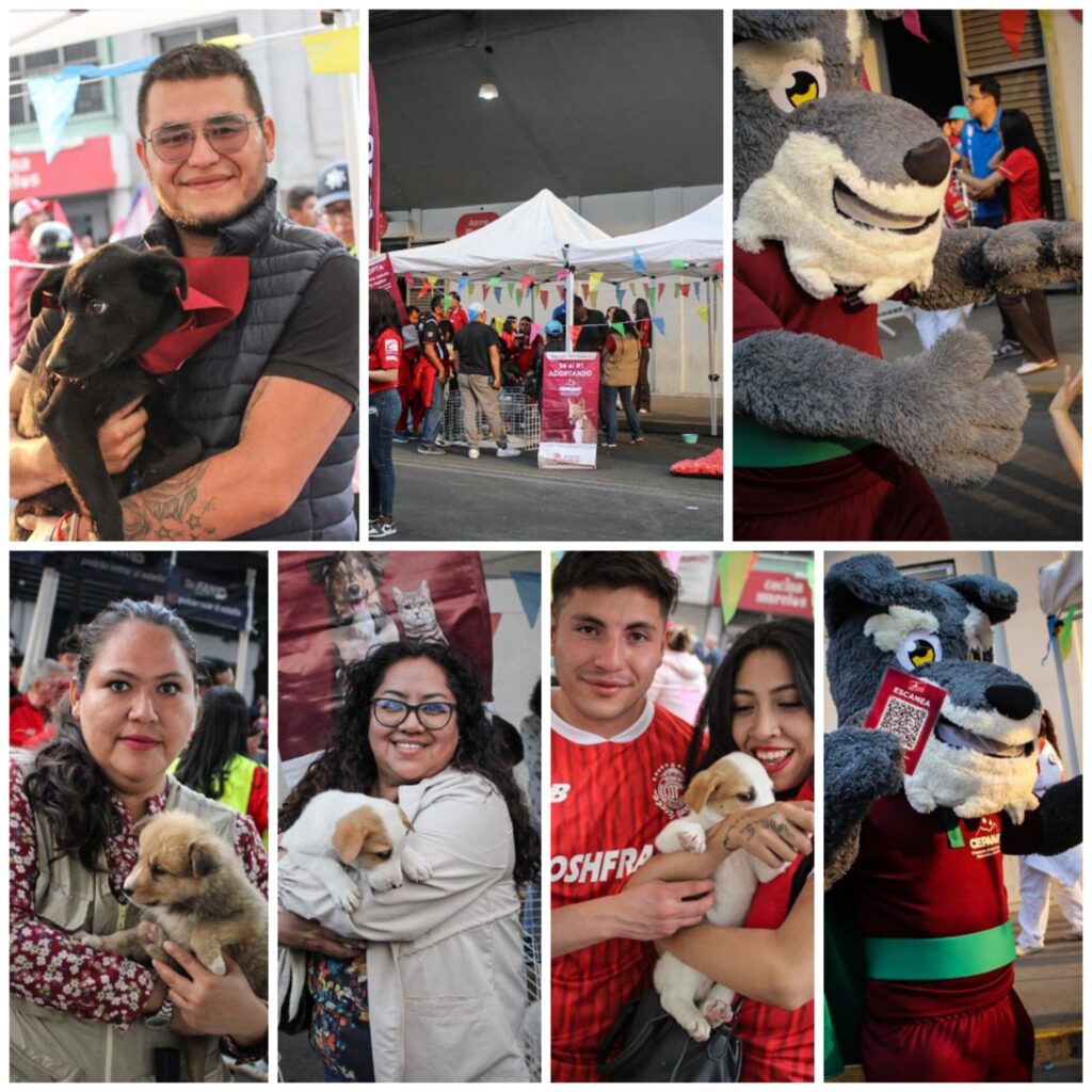Cepanaf y el Club Deportivo Toluca, consiguen hogar a 77 lomitos