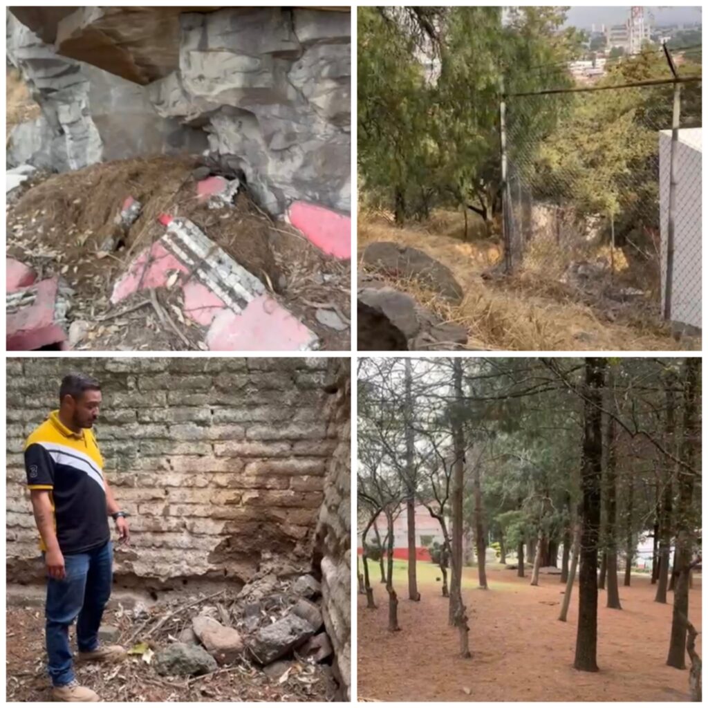 Investigan posible envenenamiento de fauna en el Calvario de Toluca