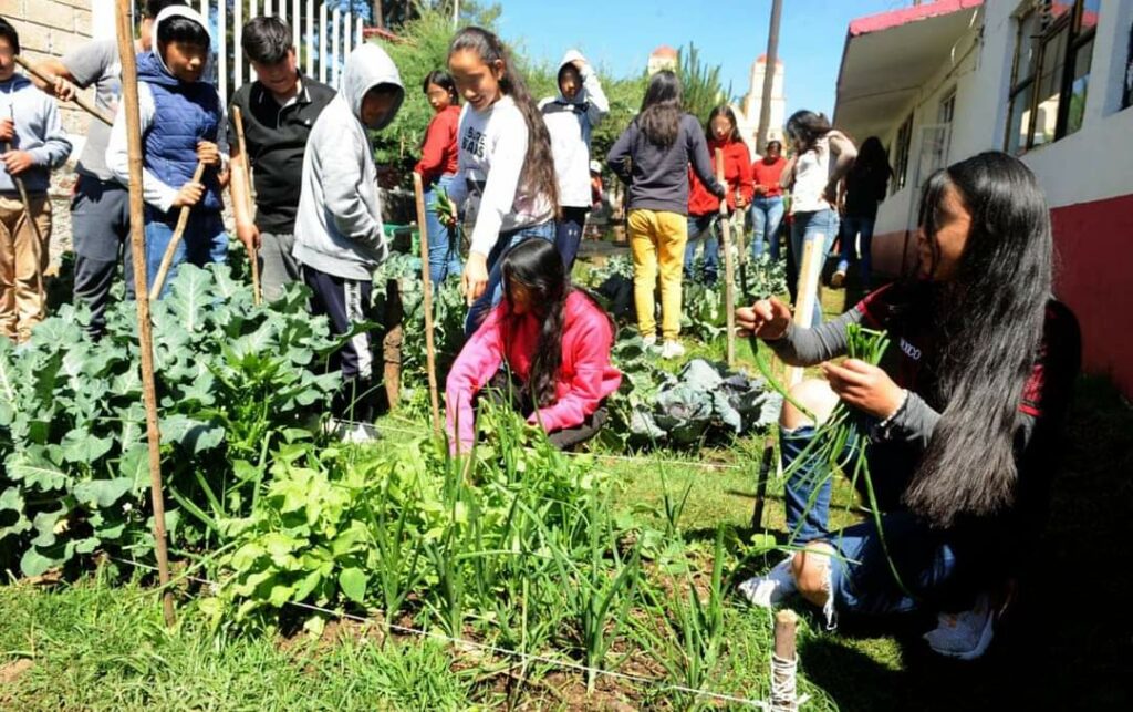 Apoya DIFEM alimentación en Texcaltitlán con huertos escolares