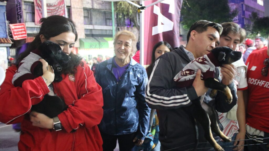 Más lomitos acceden a un hogar durante partido en la Bombonera