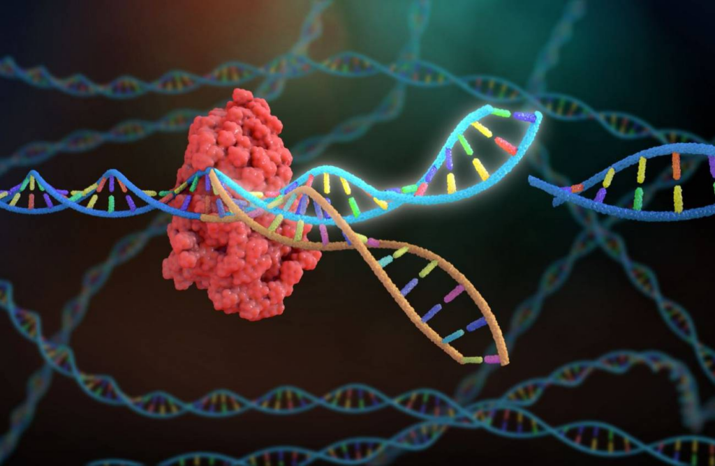 La entrada en la era Crispr-Casg