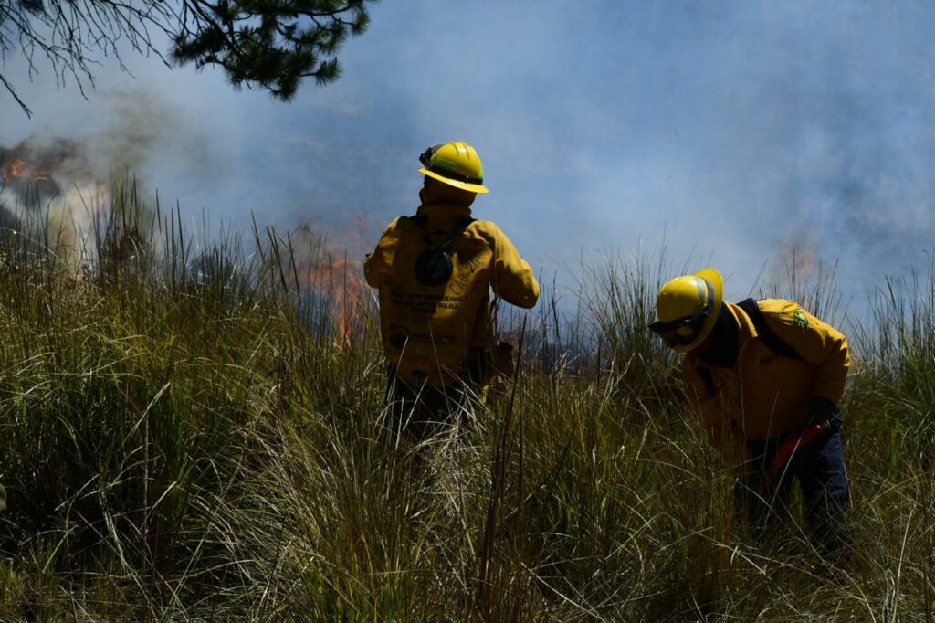 Conmemora Edoméx el Día Internacional del Combatiente de Incendios Forestales
