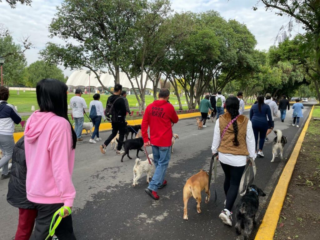 El Bienestar Animal es prioridad para el gobierno municipal de Tecámac