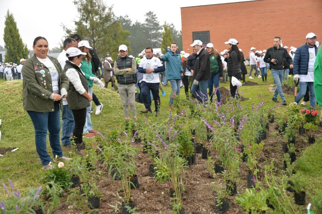 GEM y empresas siembran 2 mil plantas en Parque Ambiental Bicentenario Metepec