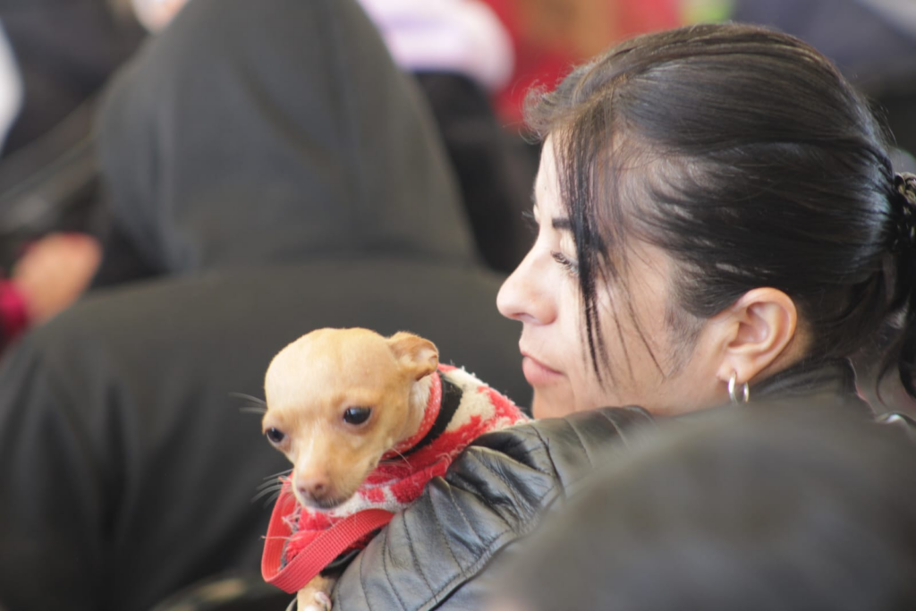Estrategia CERA, realizan más de 900 servicios veterinarios gratuitos en Texcoco