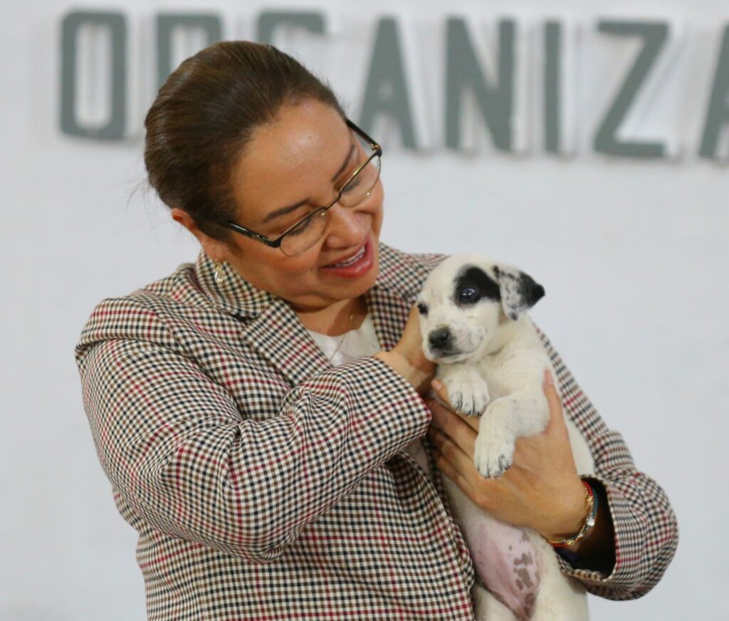 Avanza Ecatepec en el control de sobrepoblación de animales de compañía en situación de calle