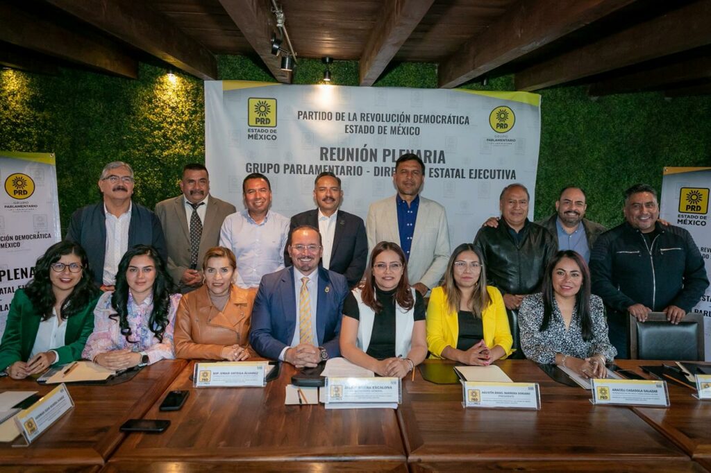 Araceli Casasola y Omar Ortega integrarán Grupo Parlamentario del PRD; Ortega será coordinador