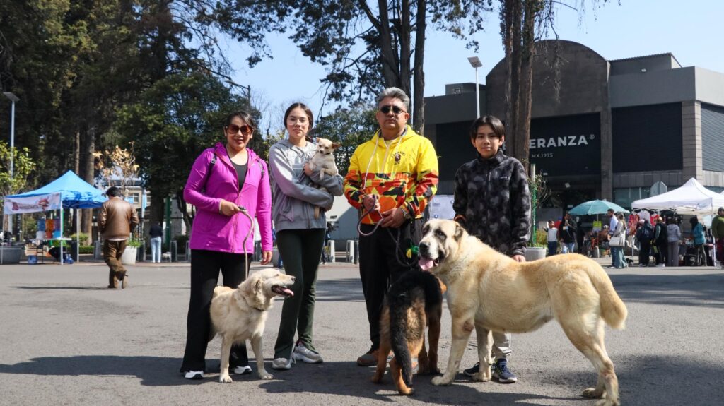Tradicional paseo dominical de Toluca, se extiende hasta Ciudad Universitaria
