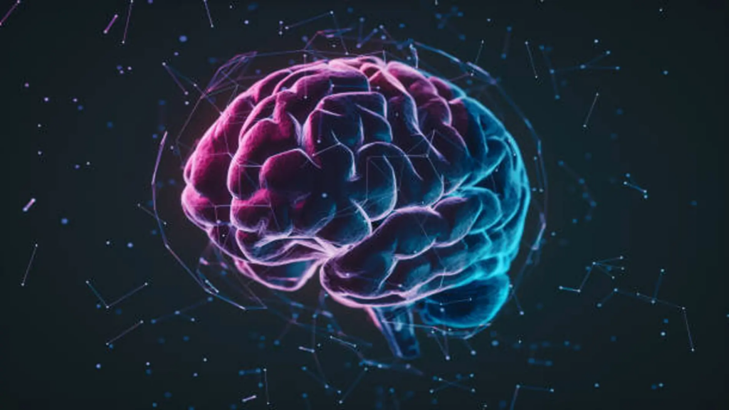 Científicos encuentran el punto del cerebro donde se produce el envejecimiento