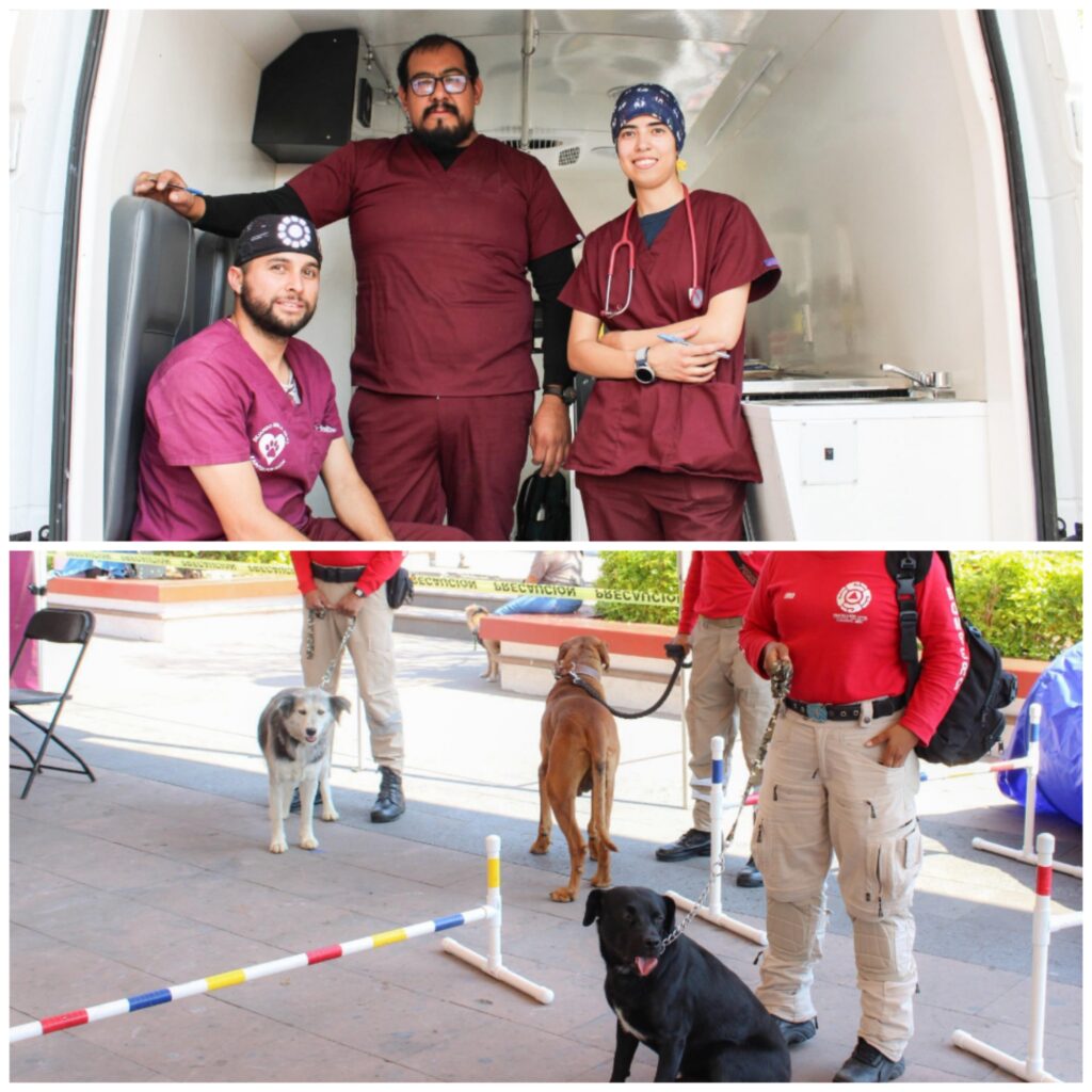 Transforma Cepanaf la vida de 500 lomitos y michis en Tonatico a través de la Caravana por el Bienestar Animal