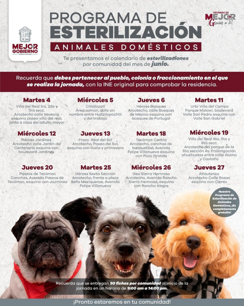Realiza durante el mes de junio la unidad de control de bienestar animal de Tecámac jornadas de esterilización gratuitas