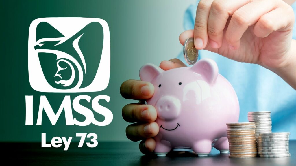 ¿Cuántos años debes cotizar para cobrar el 100% de la pensión del IMSS?